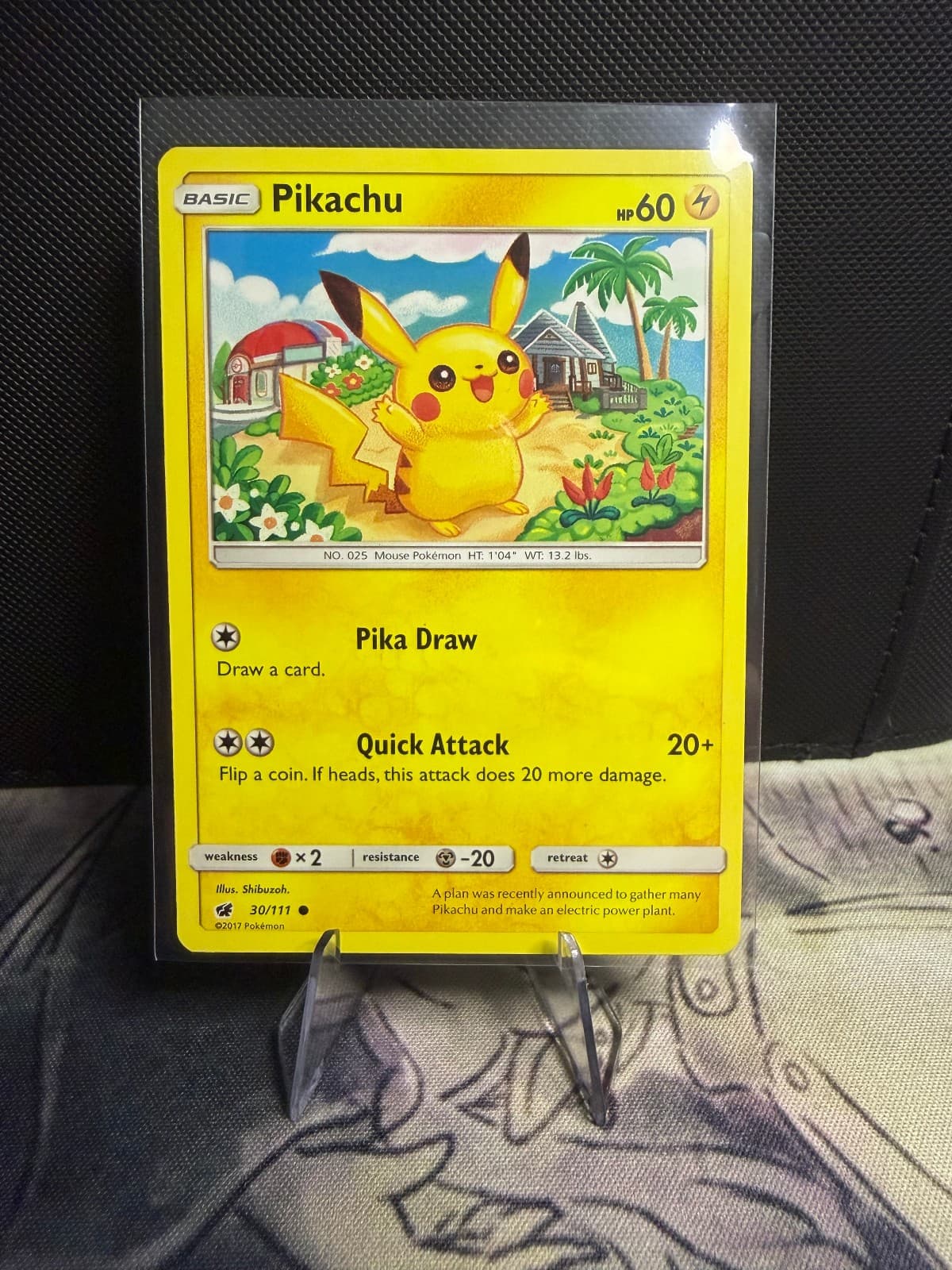 2017 XY Trainer Kit Pikachu Libre 30/30