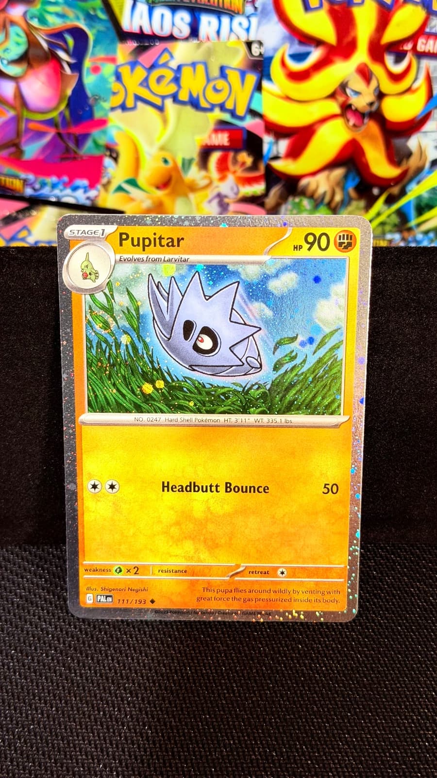 Paldea Evolved Pupitar 111/193