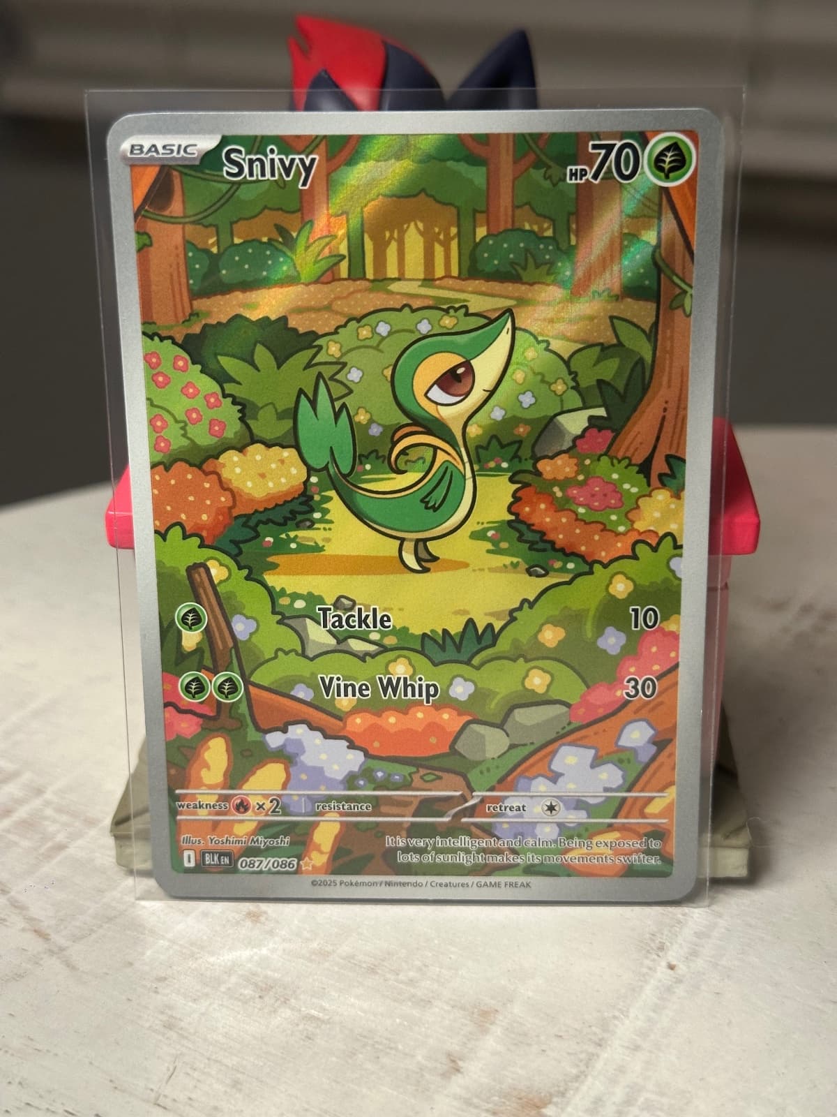 Snivy - 087/086 - SV: Black Bolt (BLK)