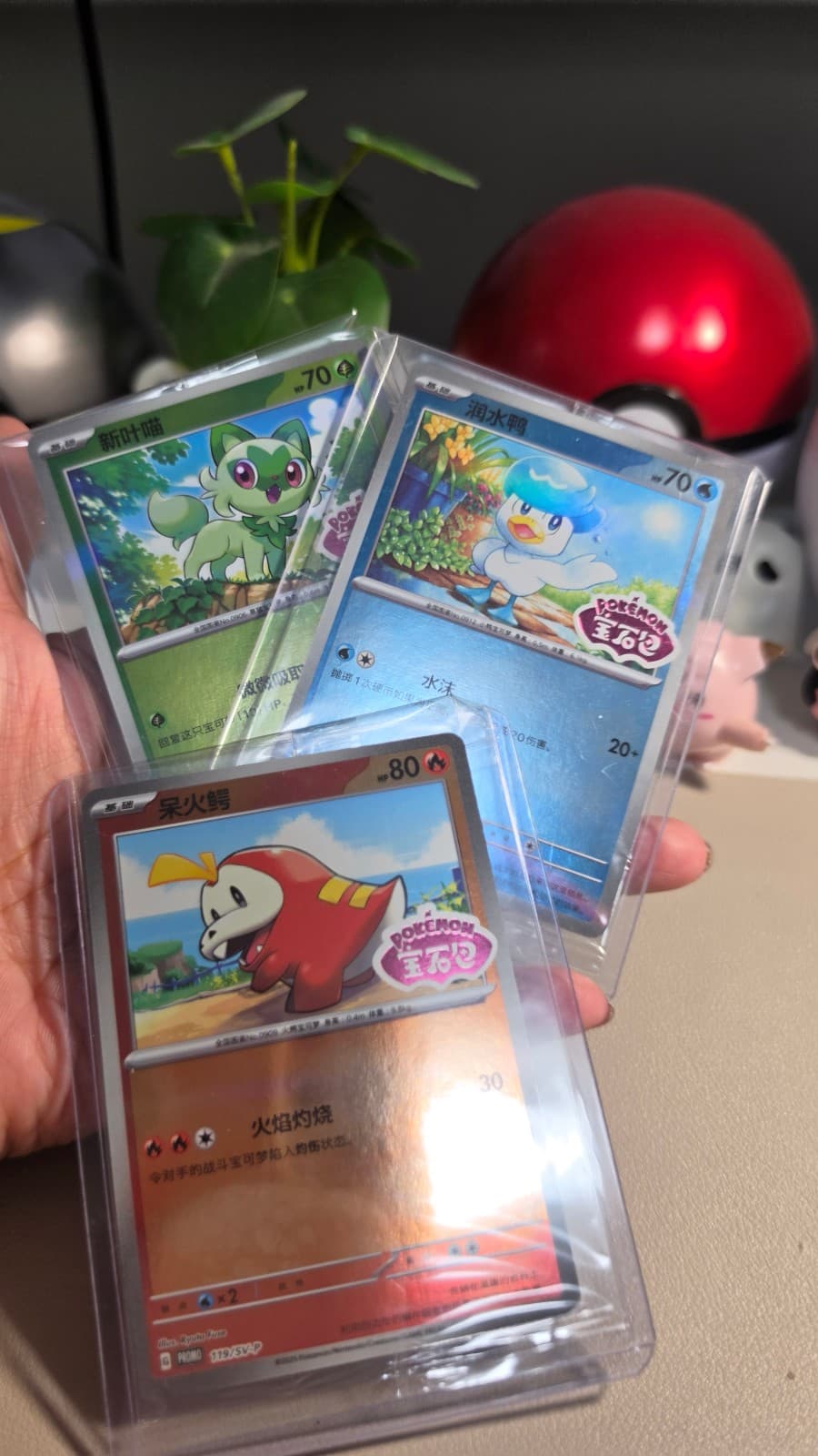 Sealed Chinese Gem Promos - Sprigatito,...