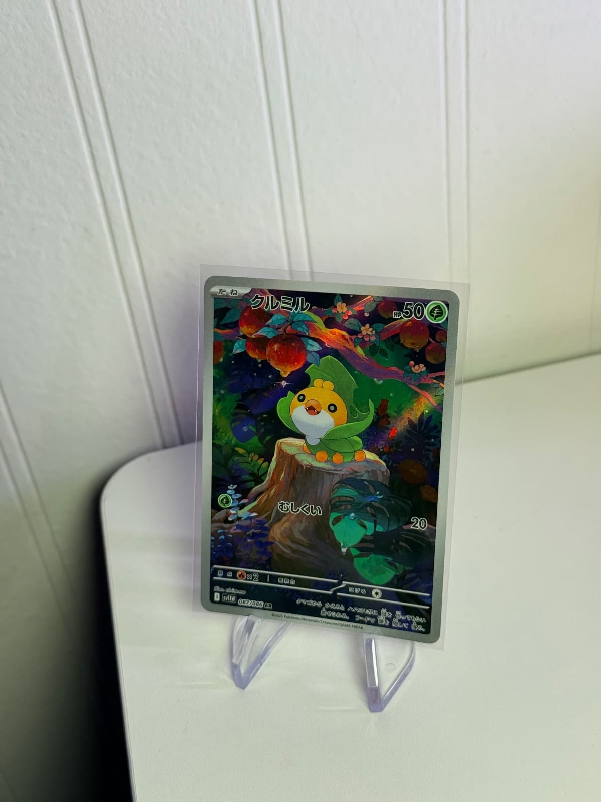 Sewaddle AR