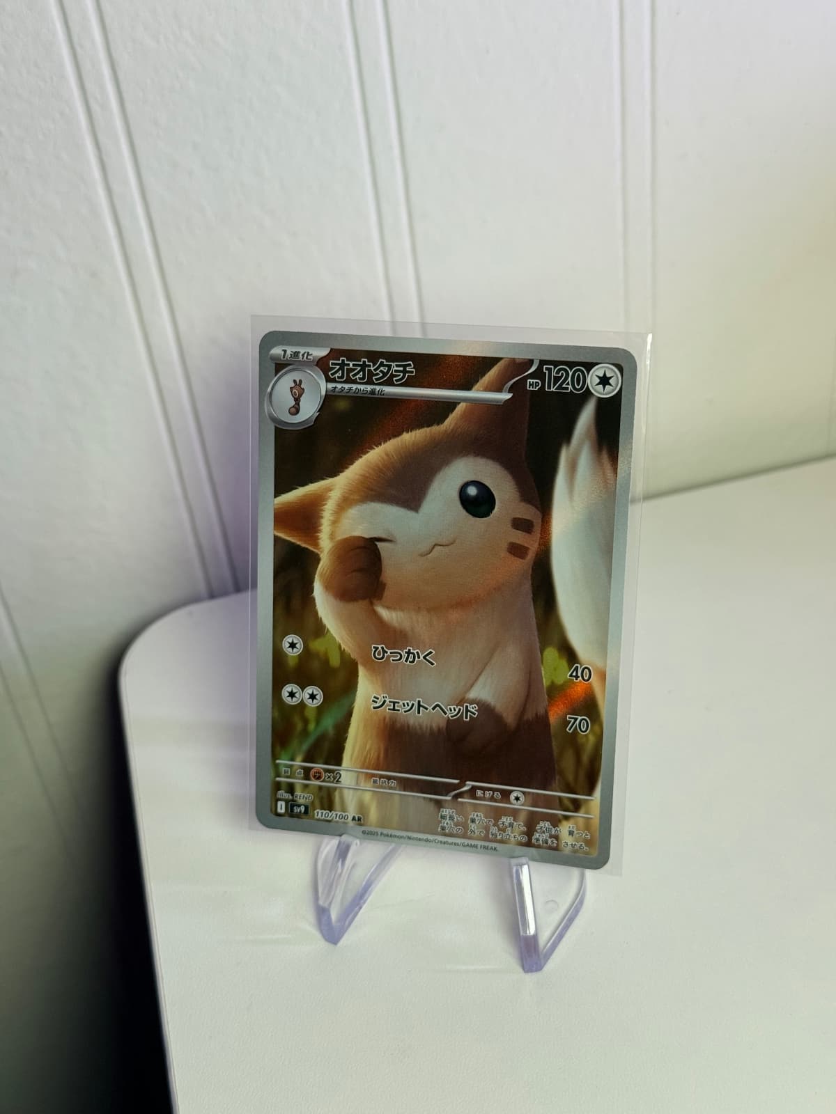 Furret AR