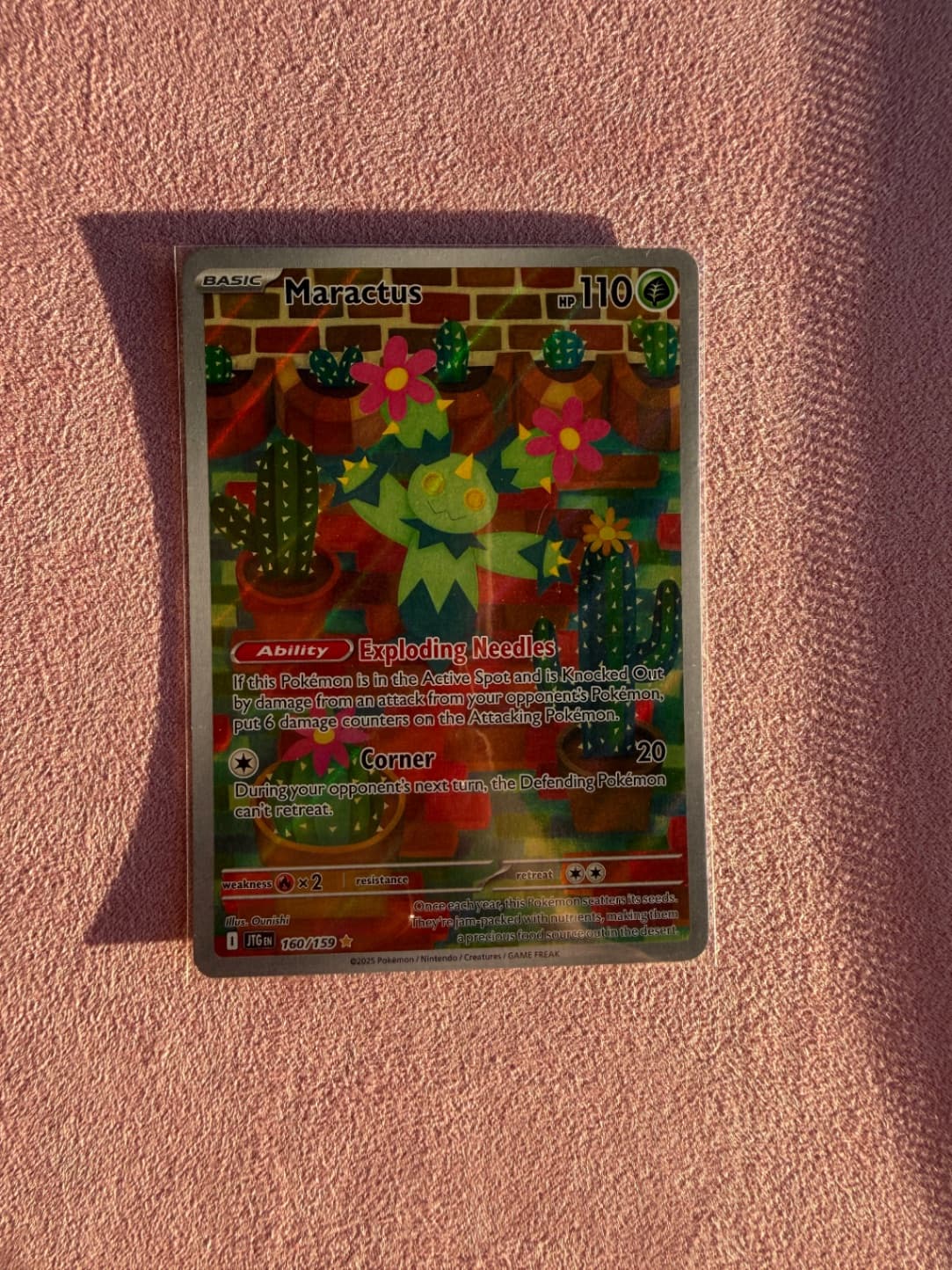 Maractus 160/159 Journey Together Illustration...