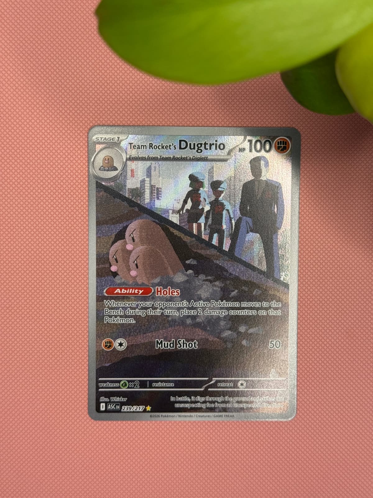 Listing image 1 of 2