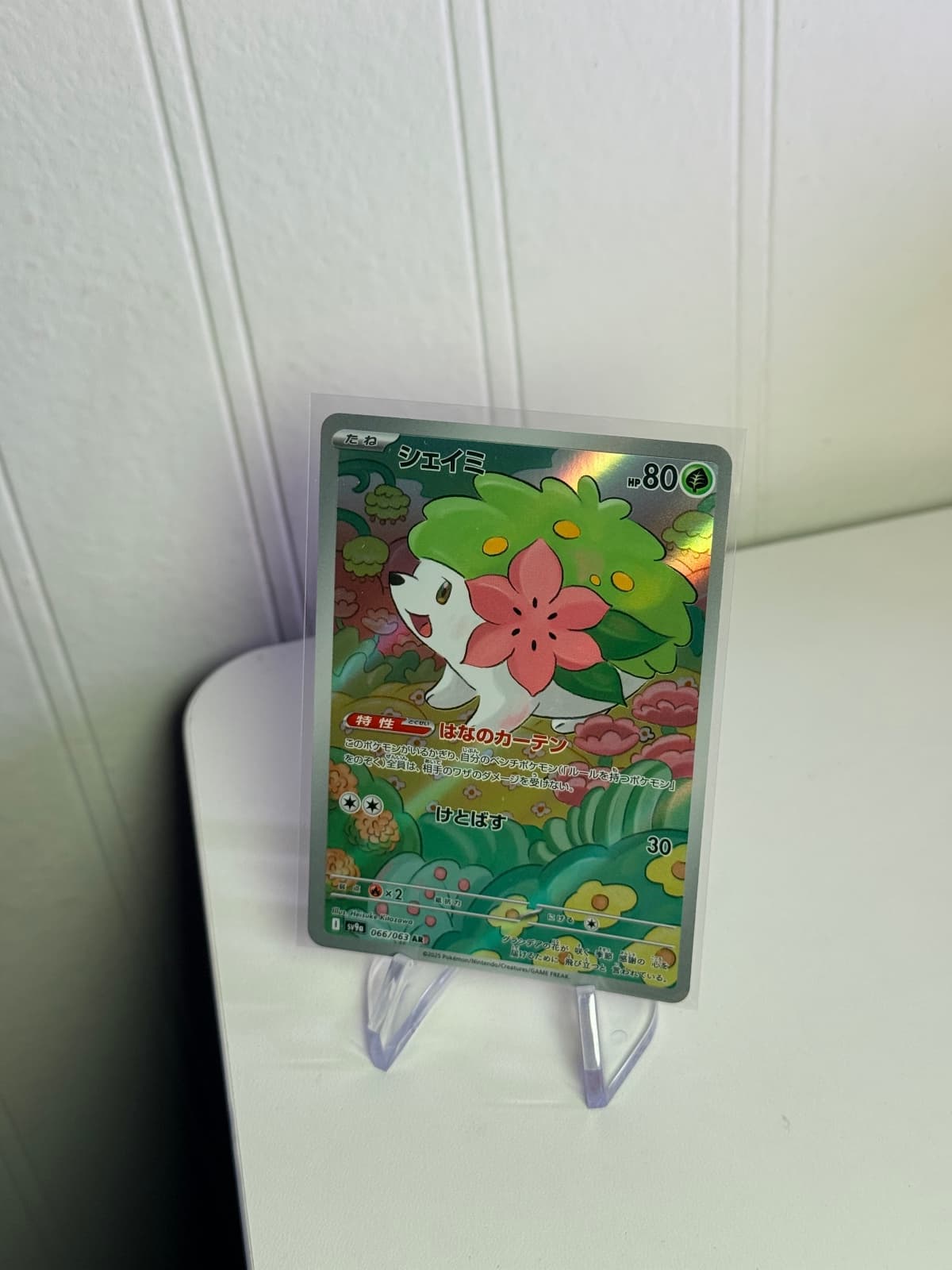 Shaymin AR
