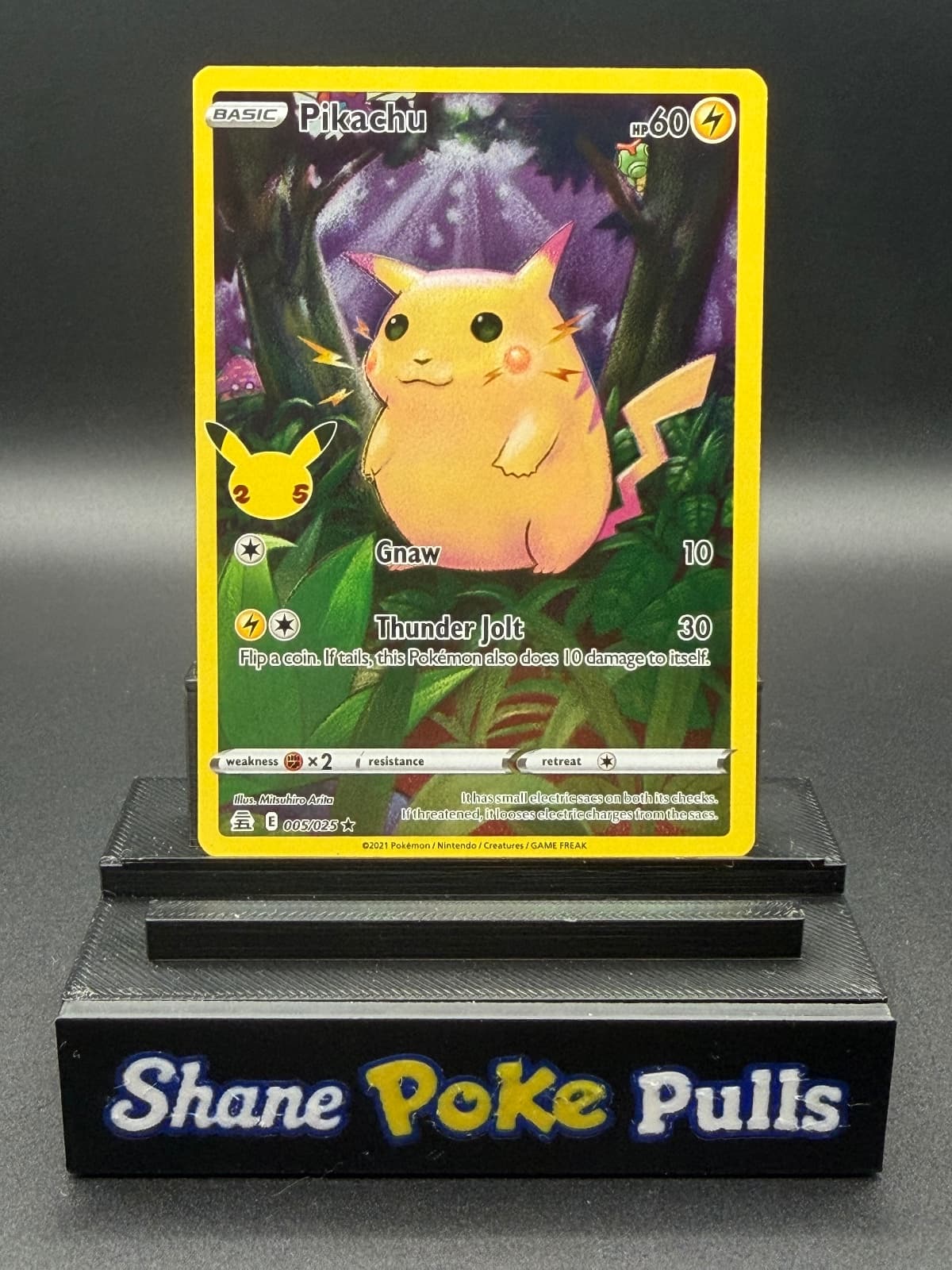 Pikachu Celebrations