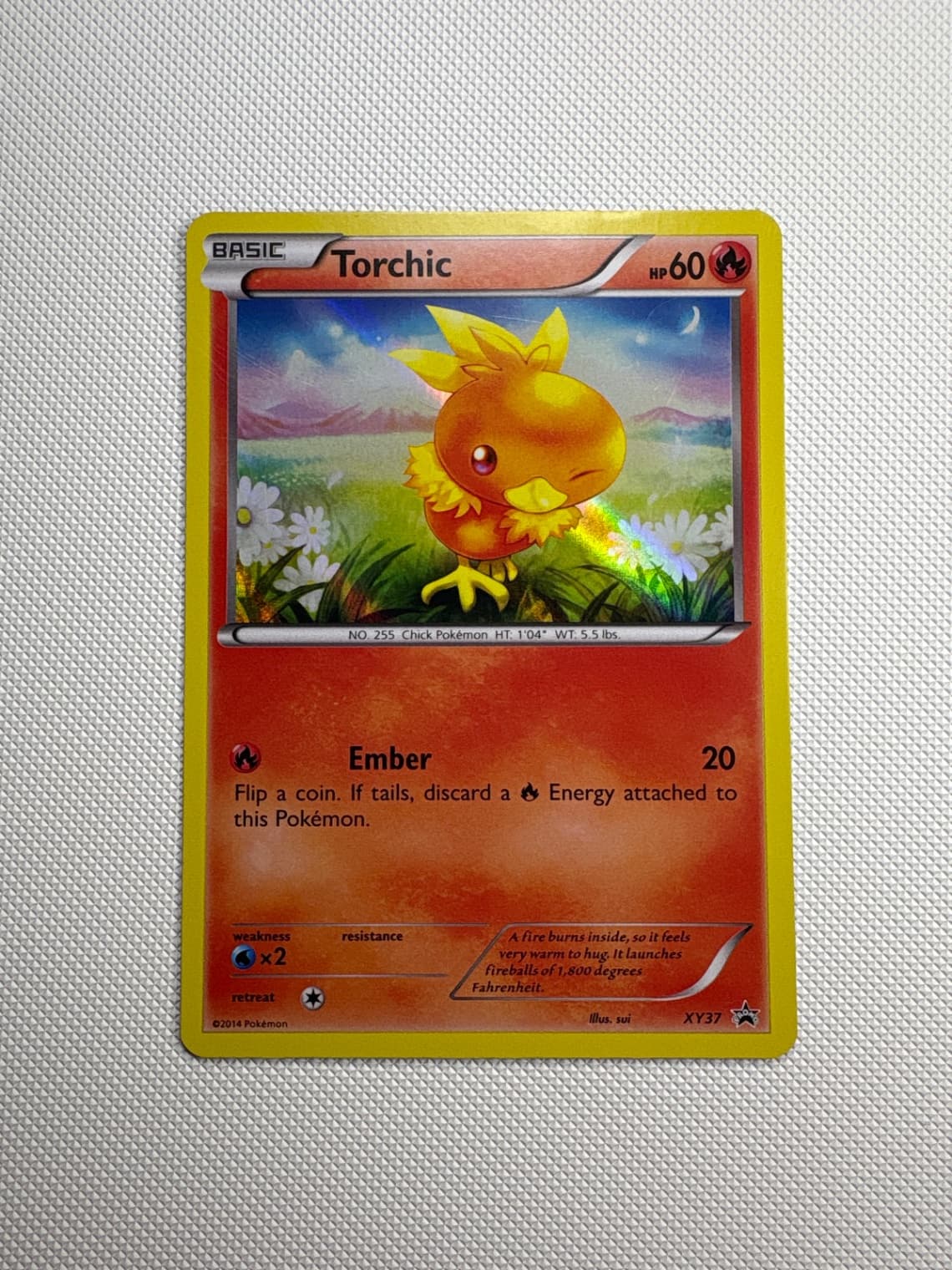 2014 XY Black Star Promos Torchic XY37