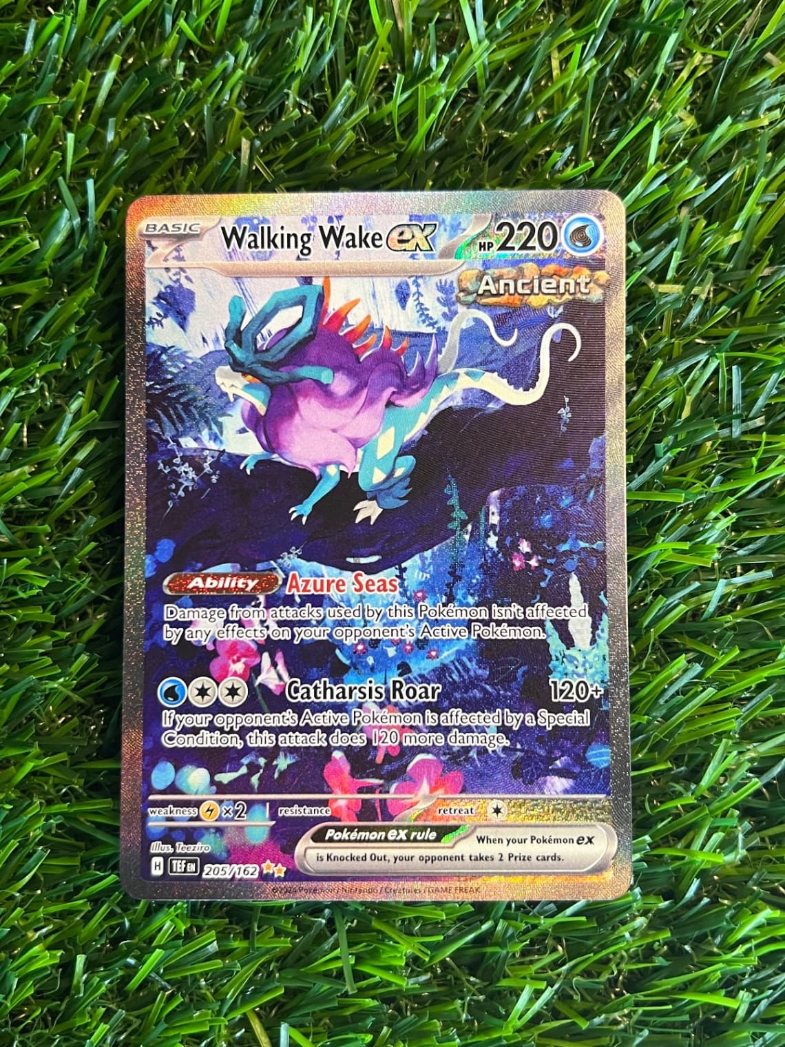 Walking Wake EX #205