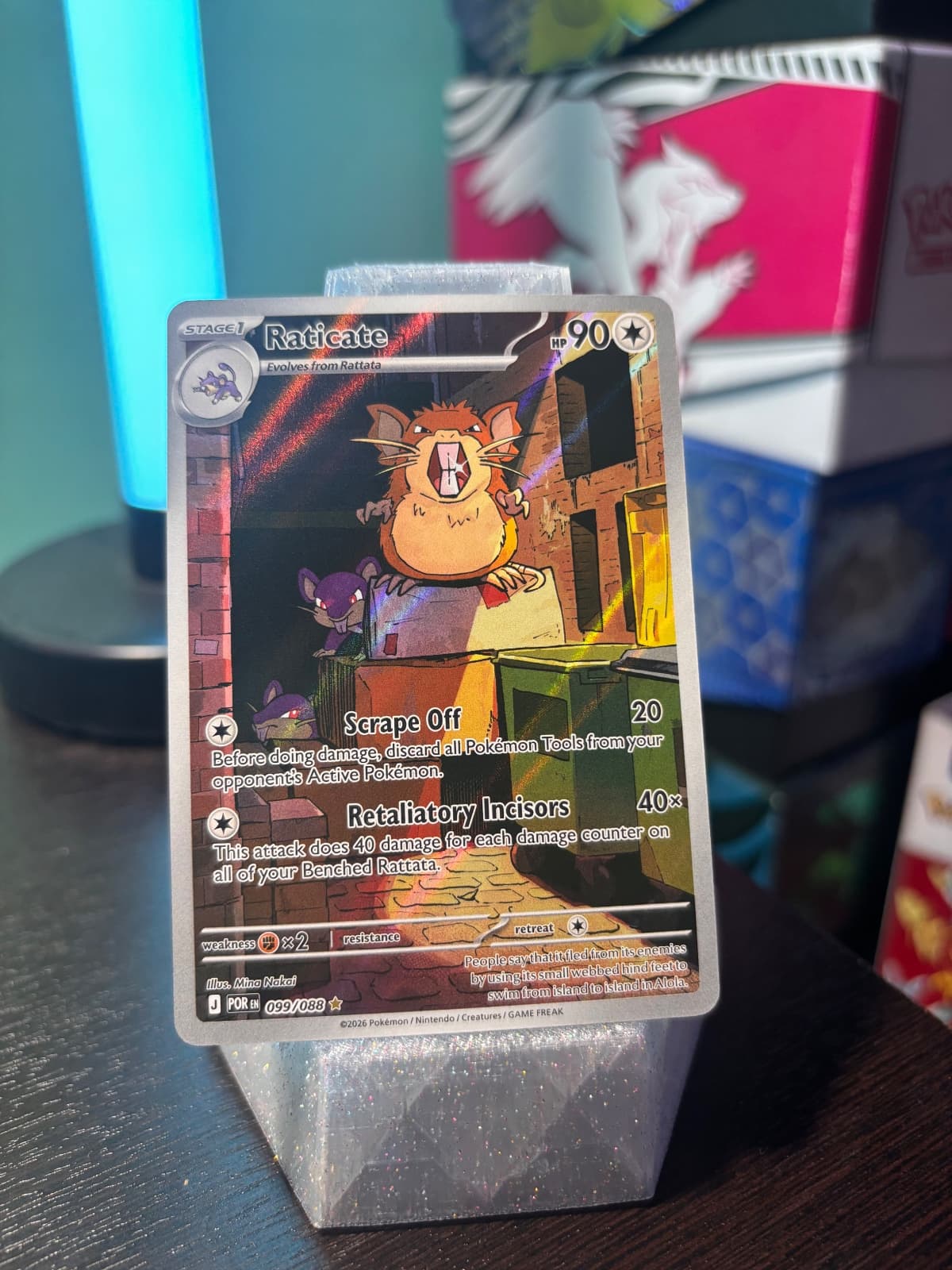 Raticate Perfect Order