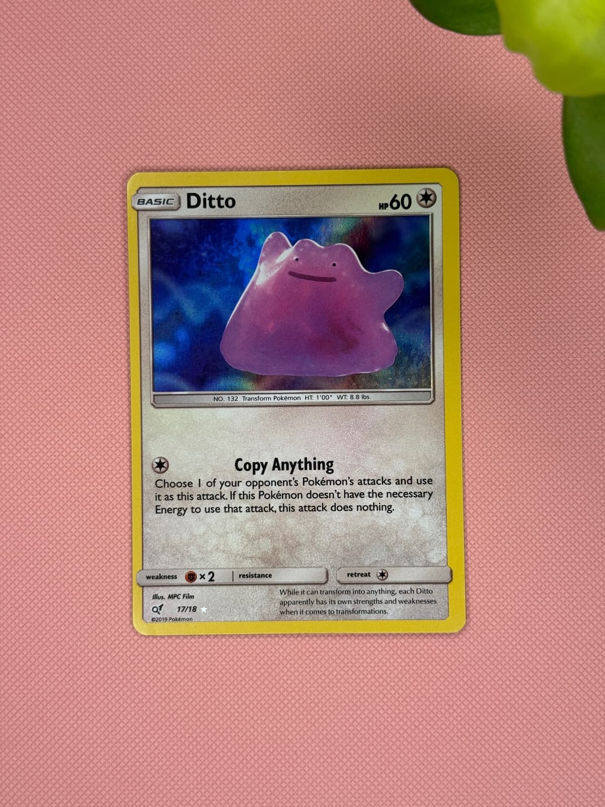 Ditto • 17/18