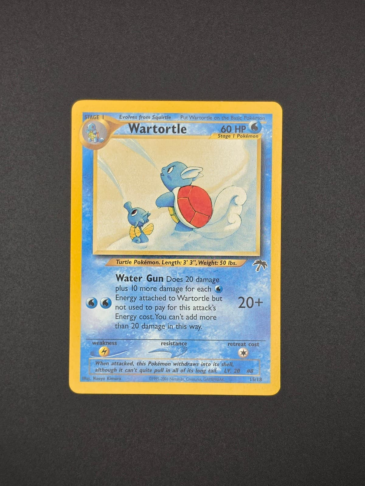 WartortleSouthern Islands — Promo