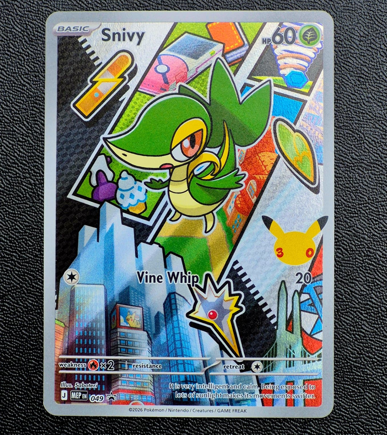 Snivy MEP 049 First Partner