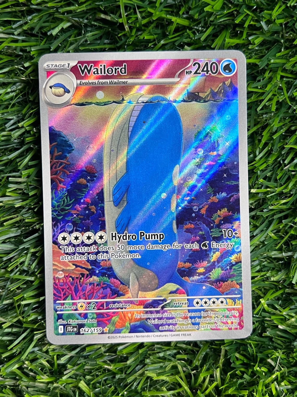 Wailord #162