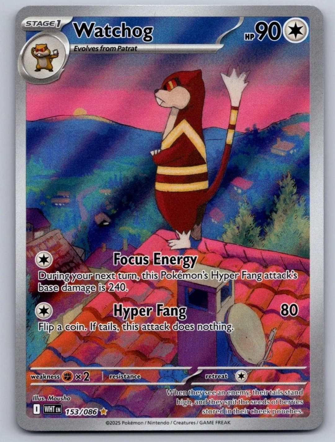 2025 White Flare Watchog 153/086 Illustration Rare