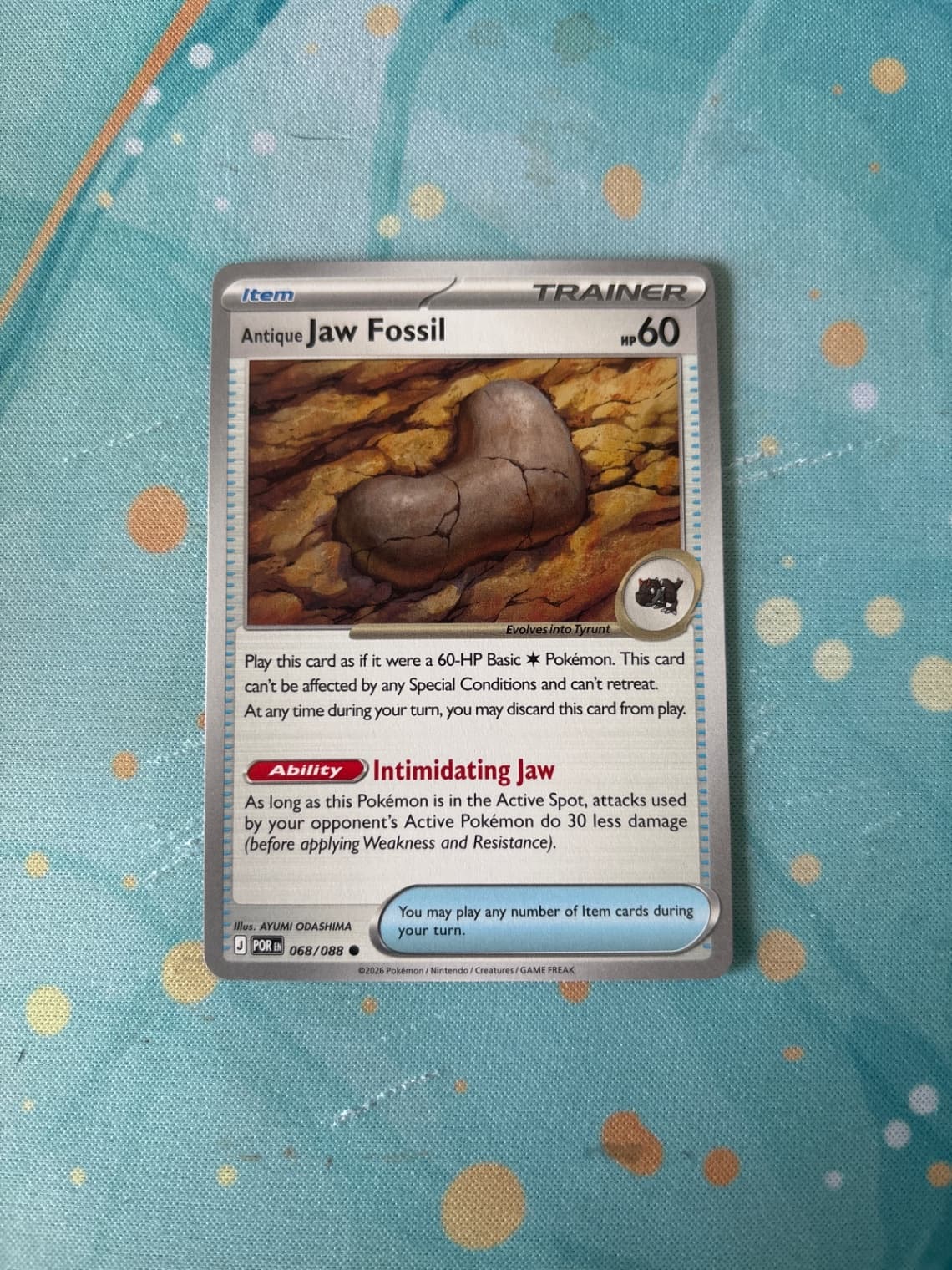 Perfect Order Antique Jaw Fossil 068/88