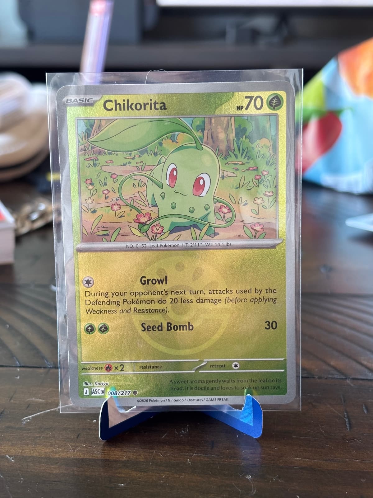 Ascended Heroes Chikorita (Friendball reverse...