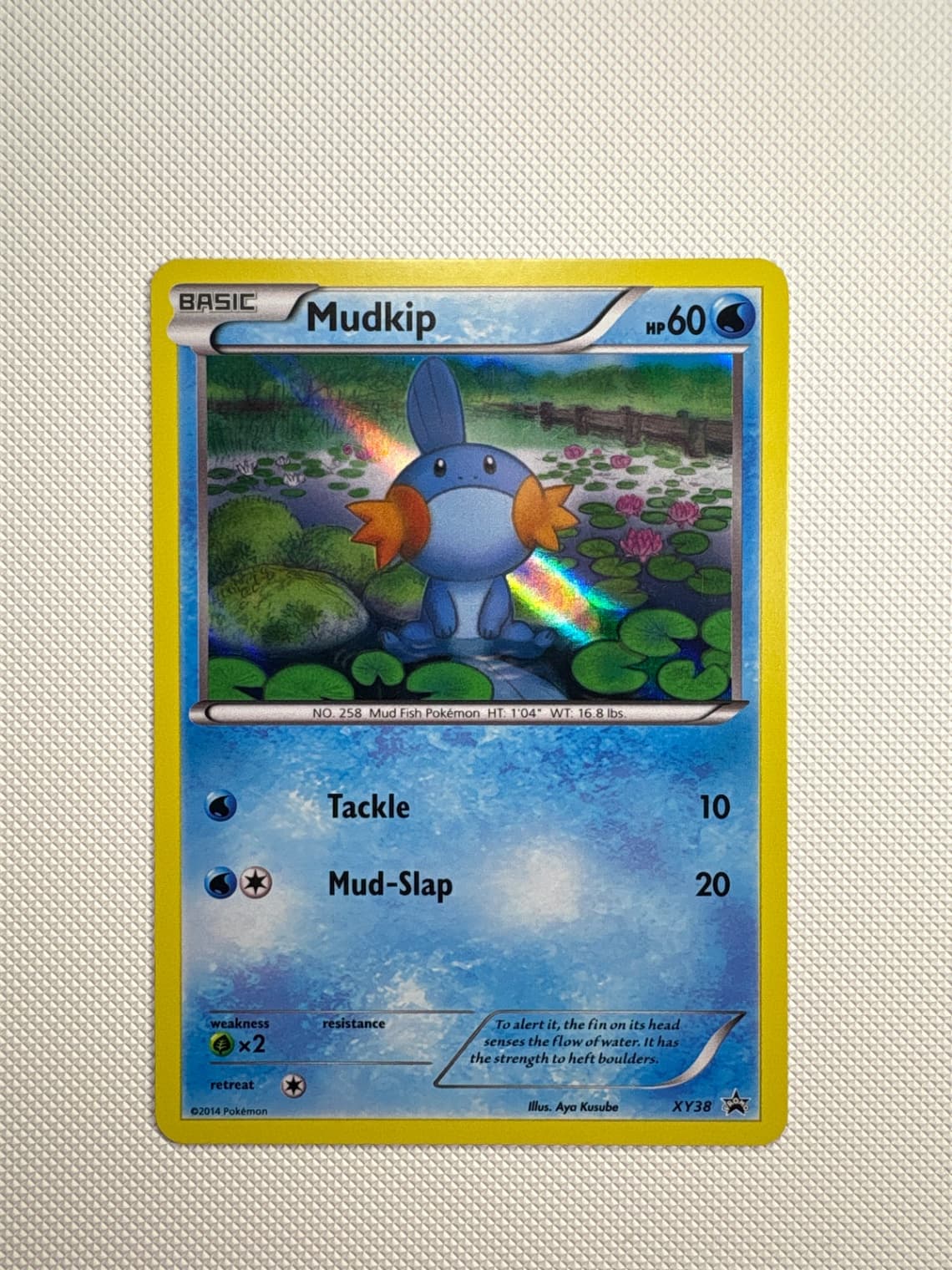 2014 XY Black Star Promos Mudkip XY38