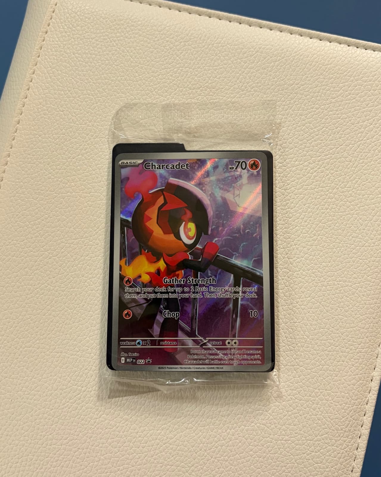 Charcadet 022 Sealed Mega Evolution Promo