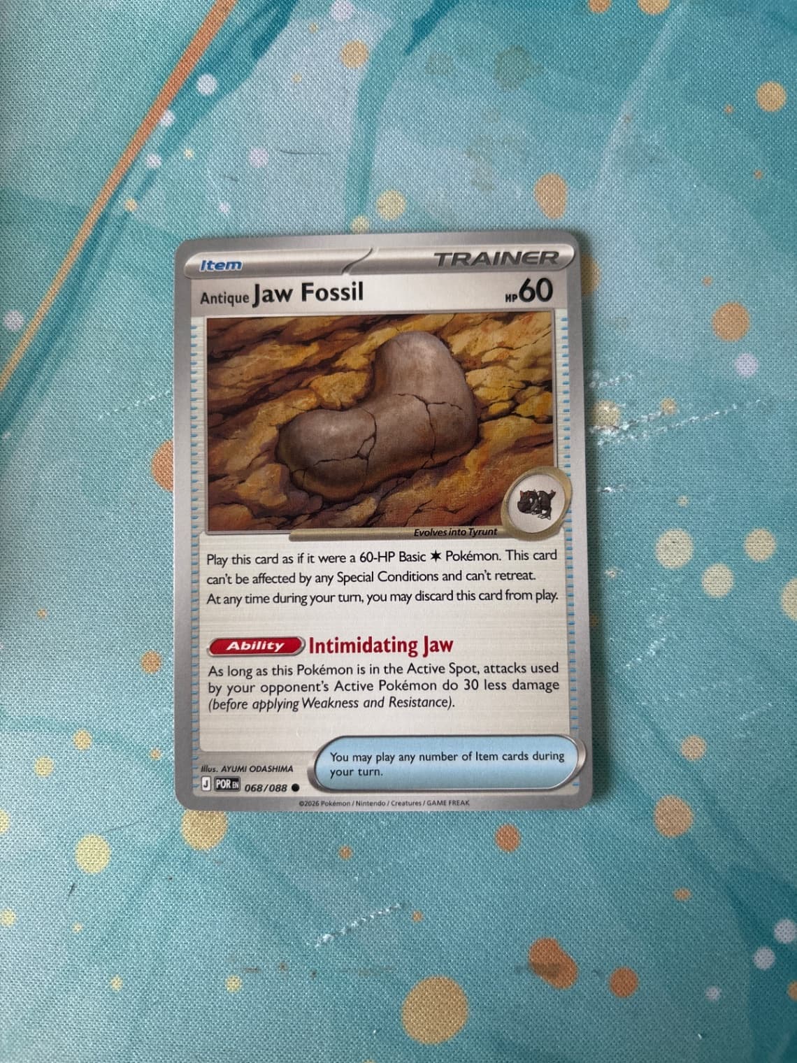 Perfect Order Antique Jaw Fossil 068/88