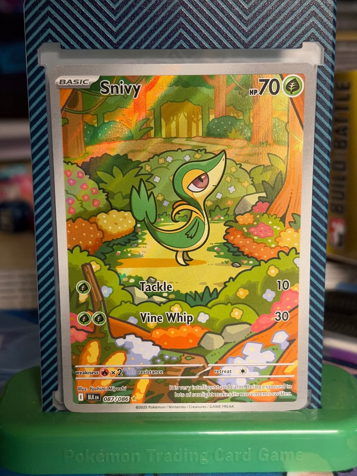 2025 Black Bolt Snivy 087/86 Illustration Rare