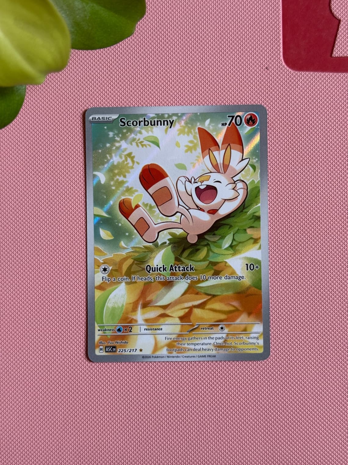 Scorbunny • 225/217