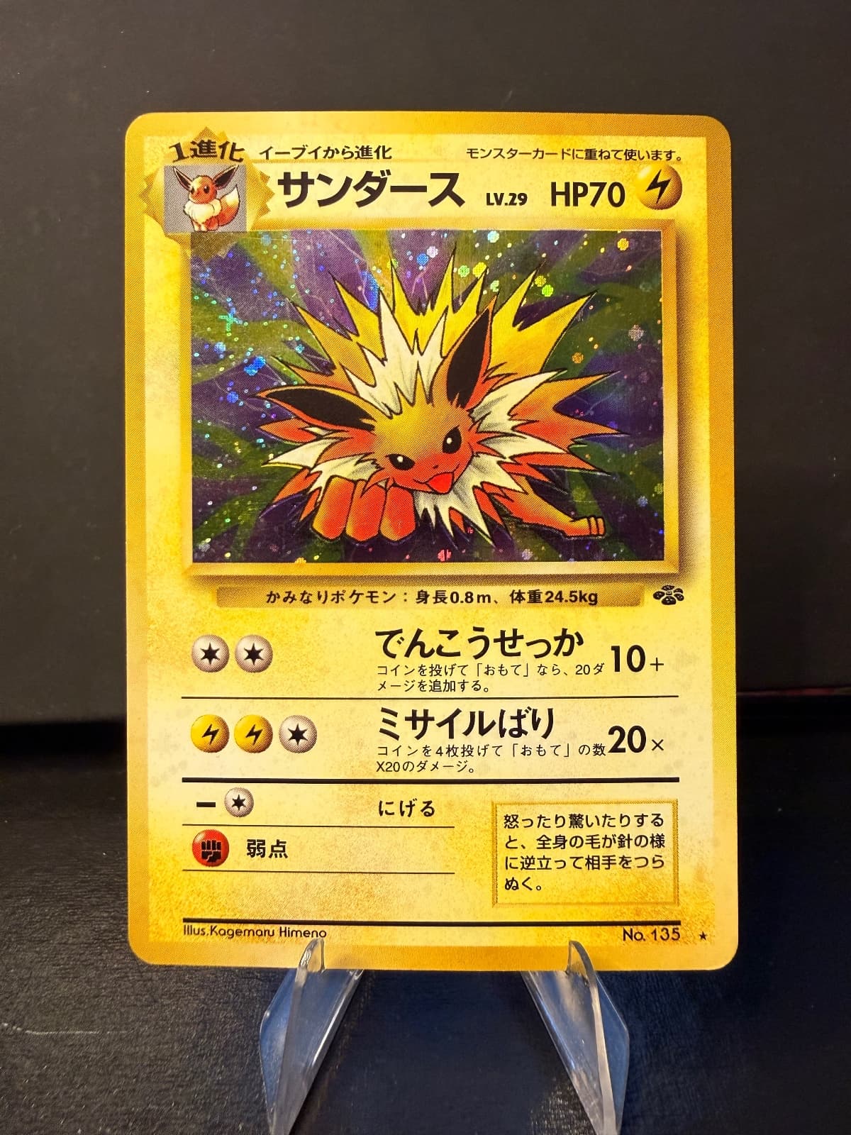 Jolteon JP Jungle