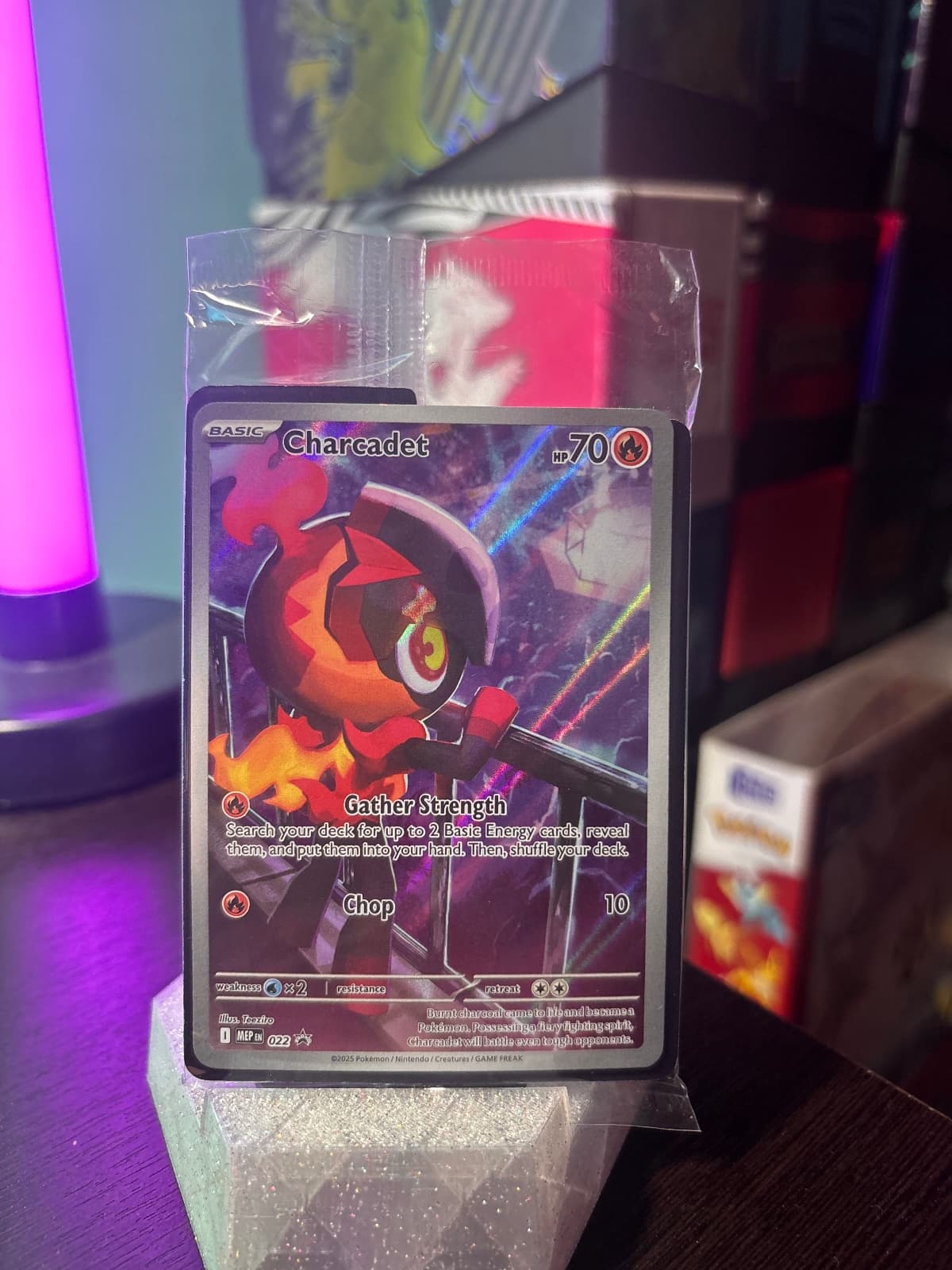 2023 MEP Black Star Promos Charcadet 022
