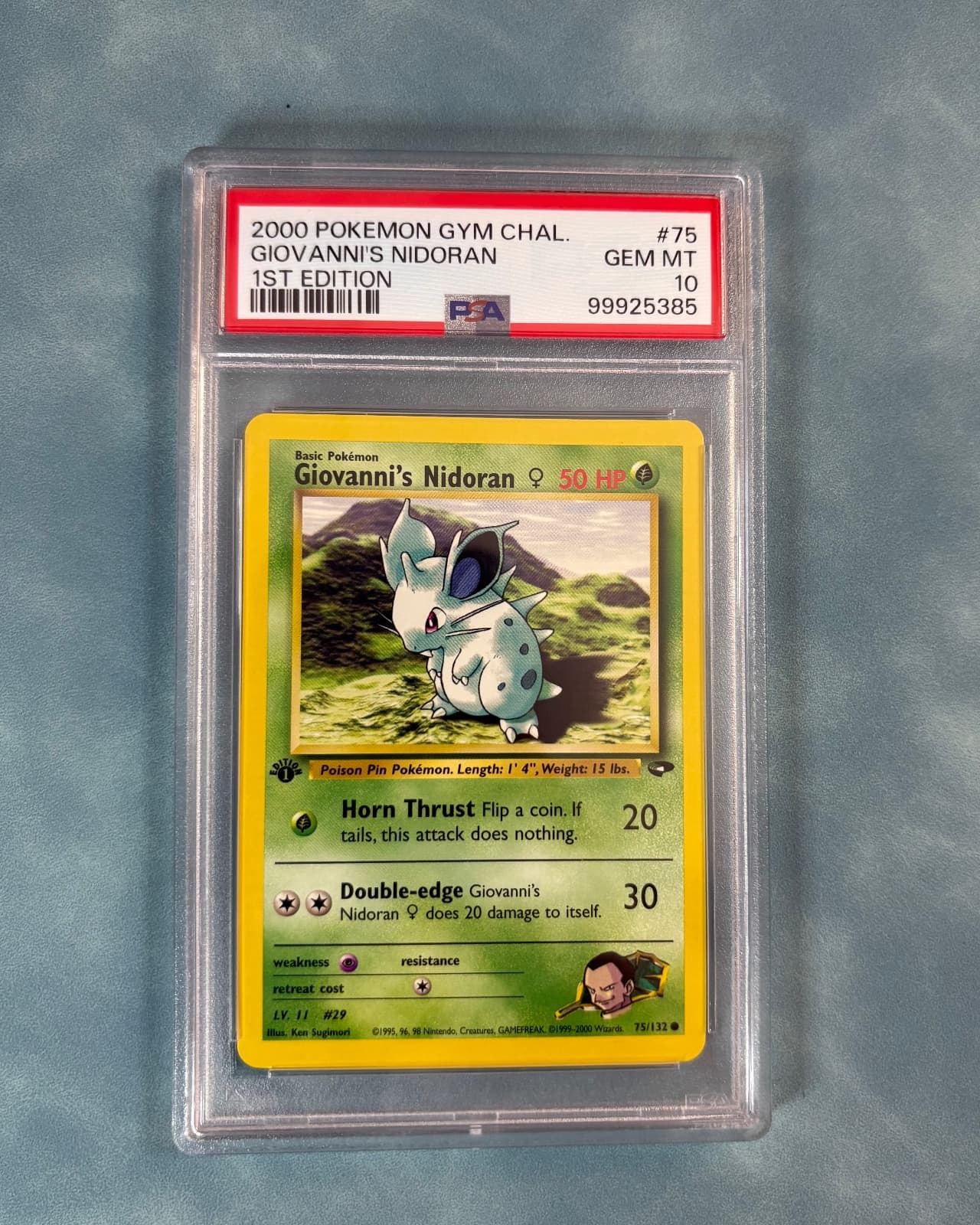 2000 Gym Challenge Giovanni's Nidoran 75/132...